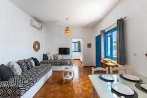 Camel Palm Collection