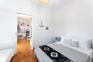 Camel Palm Collection