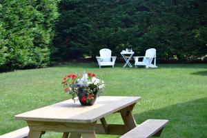 Family Chatham Retreat—Deck, Kayak Outdoor Fun