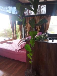 Refugio natural con acceso y vista a la piedra