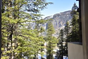 Bhagwati heights manali