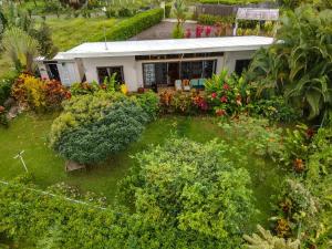Volcano View Oasis Arenal