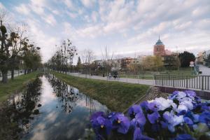 Modern Studio Warszawska w historycznej kamienicy