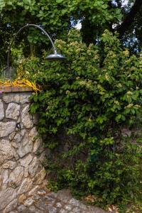Villa Privata con Giardino e Piscina