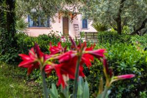 Villa Privata con Giardino e Piscina