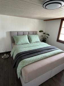 Cozy apartment near Lake Ägerisee