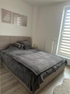 Apartament w centrum Gliwic