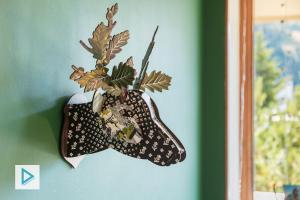 Hostdomus - Quadrifoglio Suite