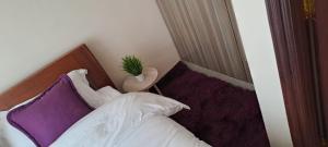 One bedroom in Machakos Town Elegancia Homes