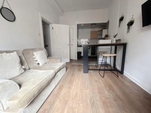 Edinburgh Cozy Apartment