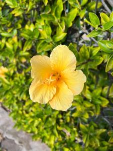 Atlantic Edge - Relaxing Beachfront Escape Formosa