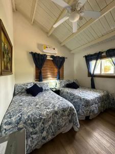 Casa Selva Escondida