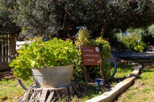 Villetta 6 posti letto con giardino vicino al mare
