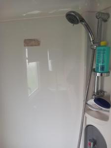 Spacious 8 Berth Caravan At Ty Mawr Holiday Park, North Wales Ref 86020D