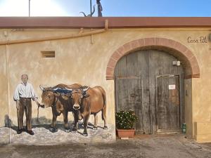 Casa Pili