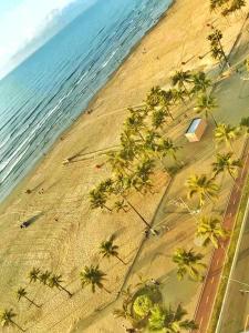 Ocian Paradise - Pé na areia - Sua experiência exclusiva frente mar - Estacionamento & Wi-Fi