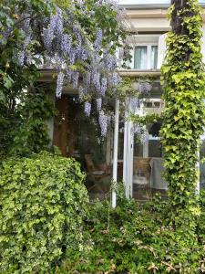 Maison design avec jardin Havre de paix aux portes de Paris & Disneyland