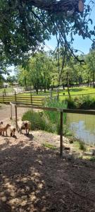 Quinta da Bolota Guest House