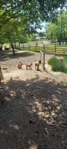 Quinta da Bolota Guest House