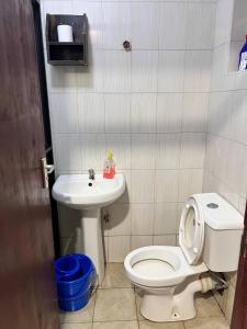 De kato studio in RUAKA