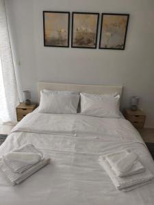 Lounetta Apartments 2