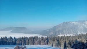 Alpen House Dursztyn 2