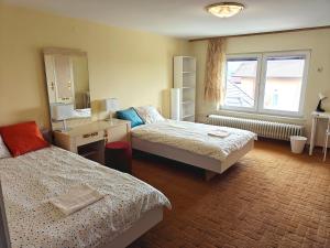 Angela Hostel