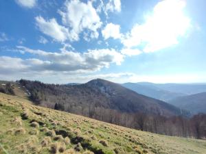Gîte spacieux à 2 km des pistes de ski
