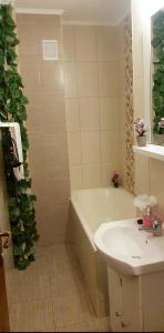 Cazare Băile Felix 2 camere