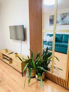 Modern Apartment 66