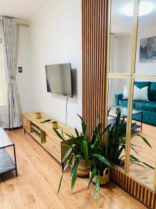 Modern Apartment 66