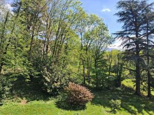 Residence Albion - Au calme pour ce petit studio ! MAE-4094