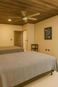 La Cima Escondida Rio Celeste, Bijagua