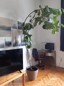 The Stage Door Apartment