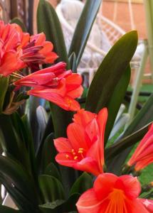 B&B La Casa di Beppe e Madia