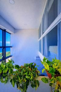 Oceanfront Panoramic View Duplex Loft 34th Floor and Beautiful Pool