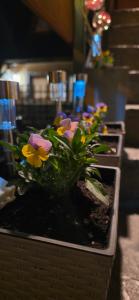 Domek na Stromej klimatyczny domek z sauną, cisza, las i rzeka, relaks dla rodzin i przyjaciół, prywatny parking