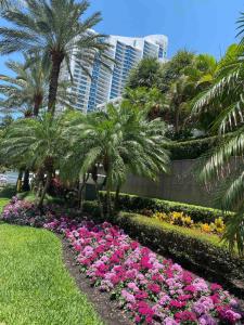 Beach condo with great views for your worry free vacation in Hollywood FL