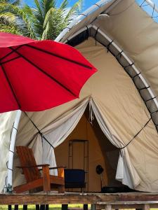 San Blas Private Island Glamping Demar Achu