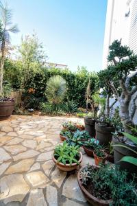 Apartment Vlado Zambratija