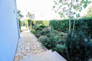 Apartment Vlado Zambratija