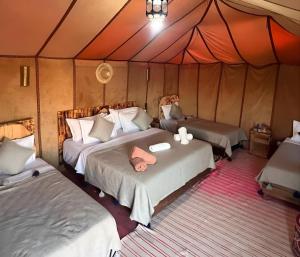 Golden Dunes Luxury Camp