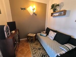 Apartment Dragonfly