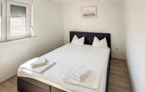 Awesome Apartment In Povljana With House Sea View