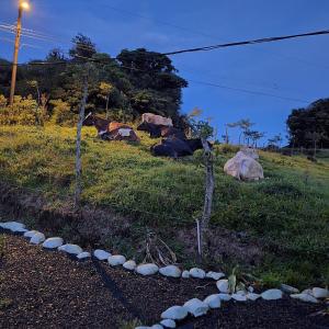 Monteverde Cloud Forest tiny house Los Vientos
