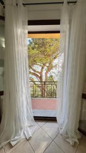 Belvedere Apartments img10