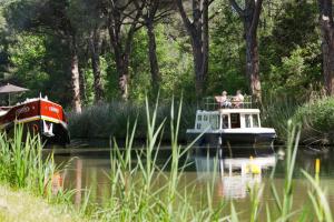Hotels ibis Carcassonne Centre - La Cite : photos des chambres