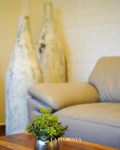 Villa bugambilia Hacienda la floresta