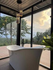 Glass Cabin w Hot Tub and Wi-Fi
