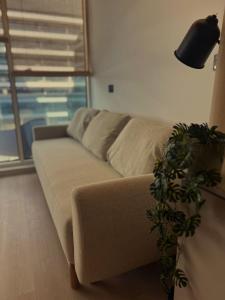 Studio White Titanic Mamaia Nord
